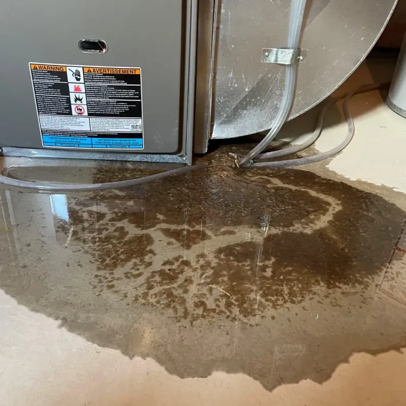 Appliance Leak Cleanup in Plattsburgh West, NY